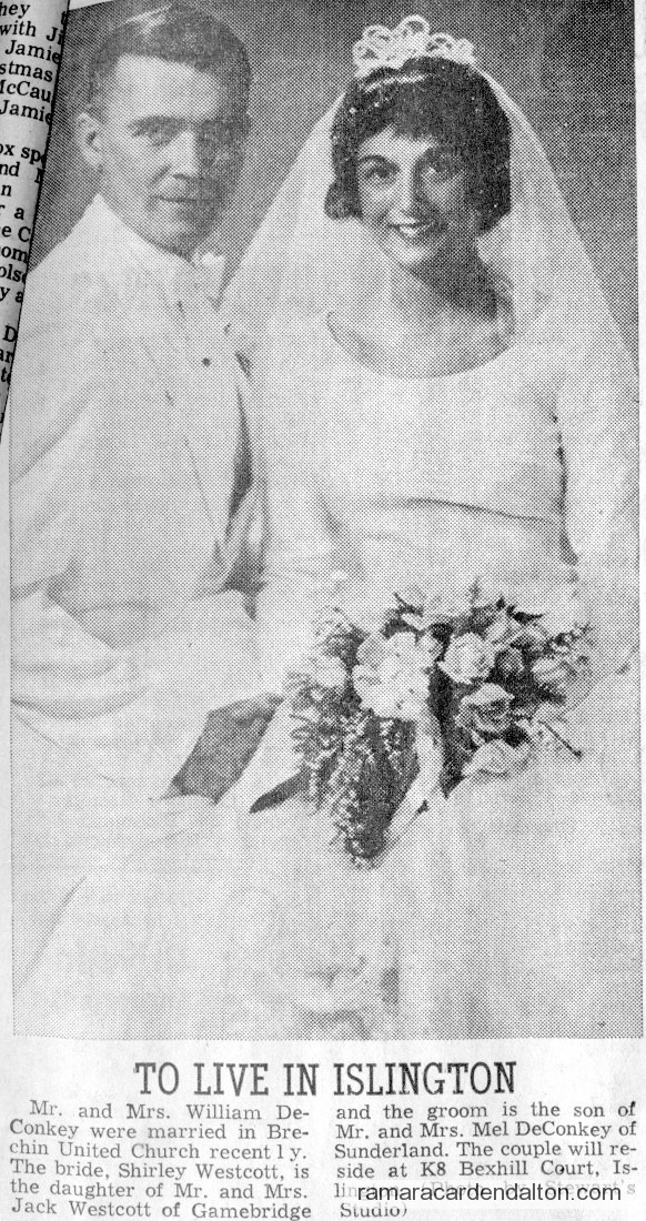 Photo of the day 3019 - Photo of the day