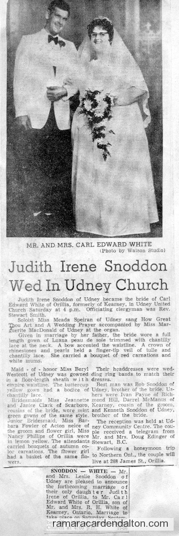 Photo of the day 3021 - Photo of the day