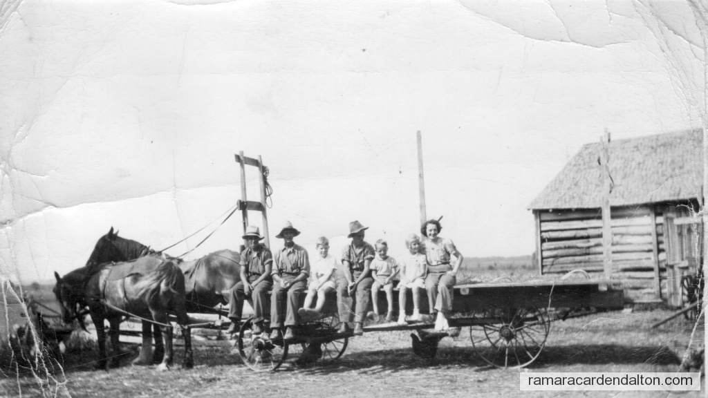 Photo of the day 3028 - Photo of the day