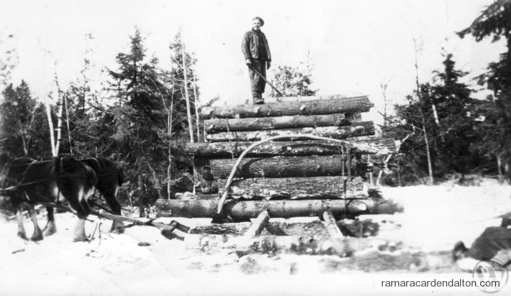 Photo of the day 3029 - Photo of the day