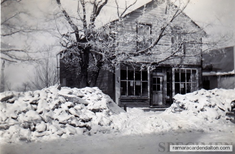 Photo of the day 304 - Photo of the day