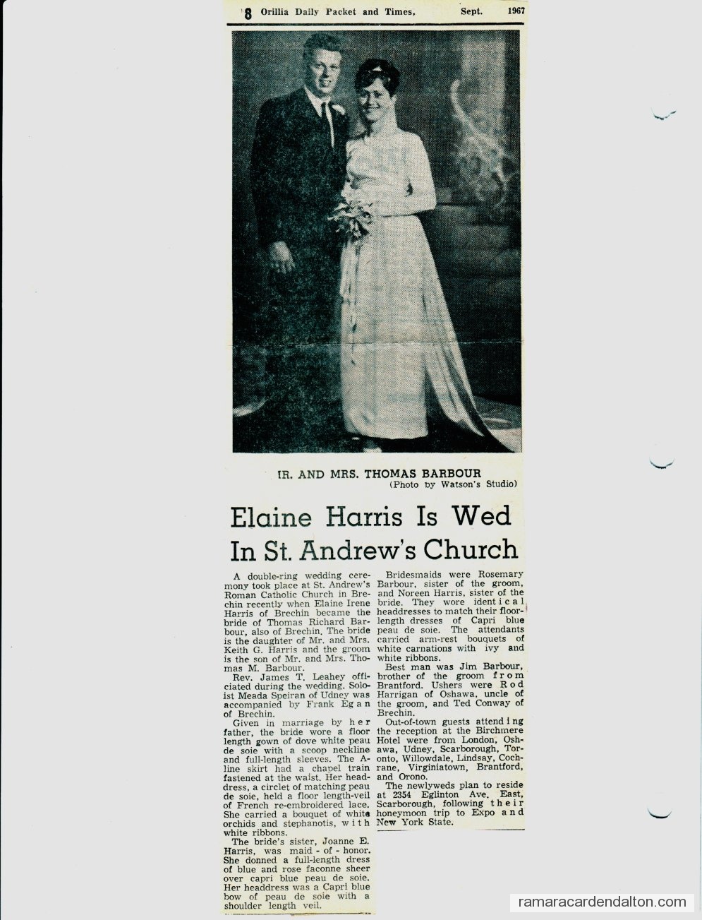 Photo of the day 3040 - Photo of the day