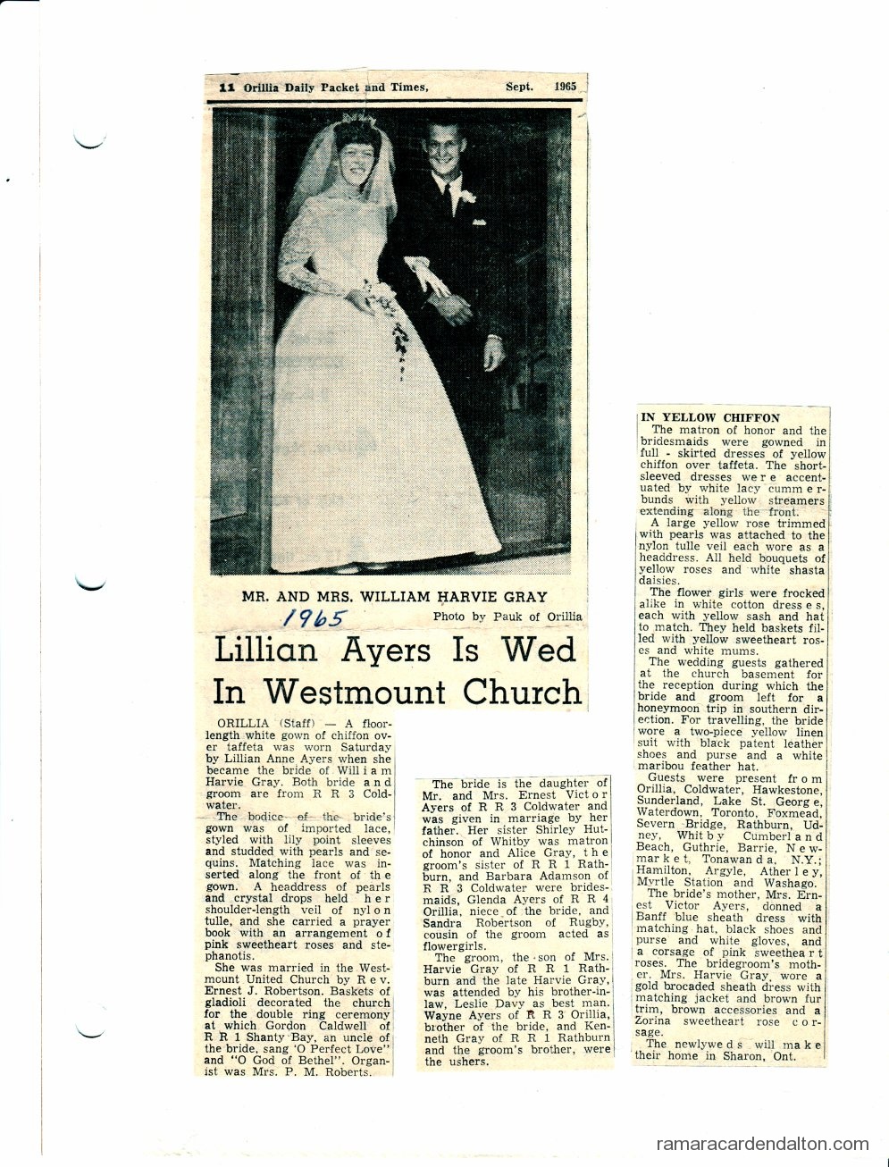 Photo of the day 3047 - Photo of the day