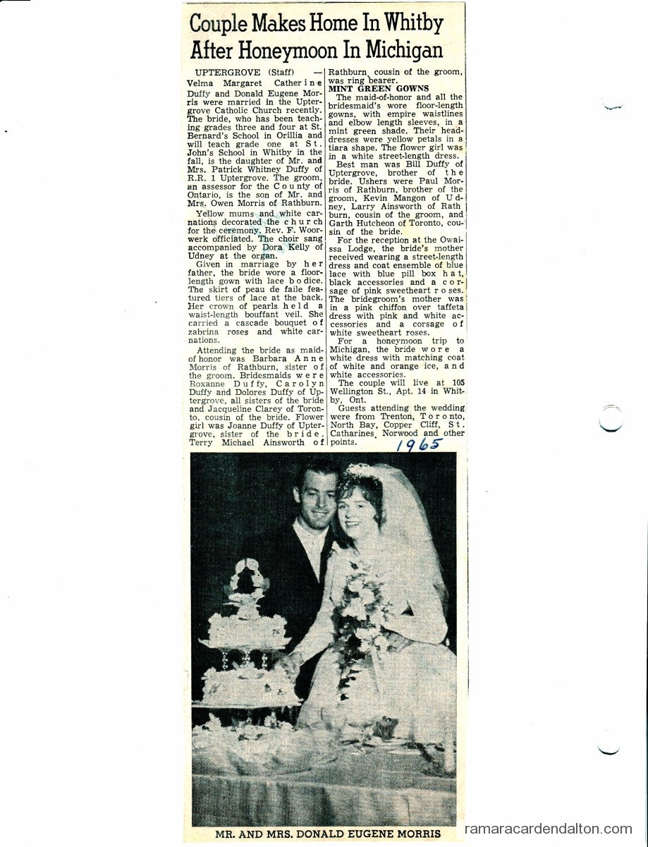 Photo of the day 3050 - Photo of the day