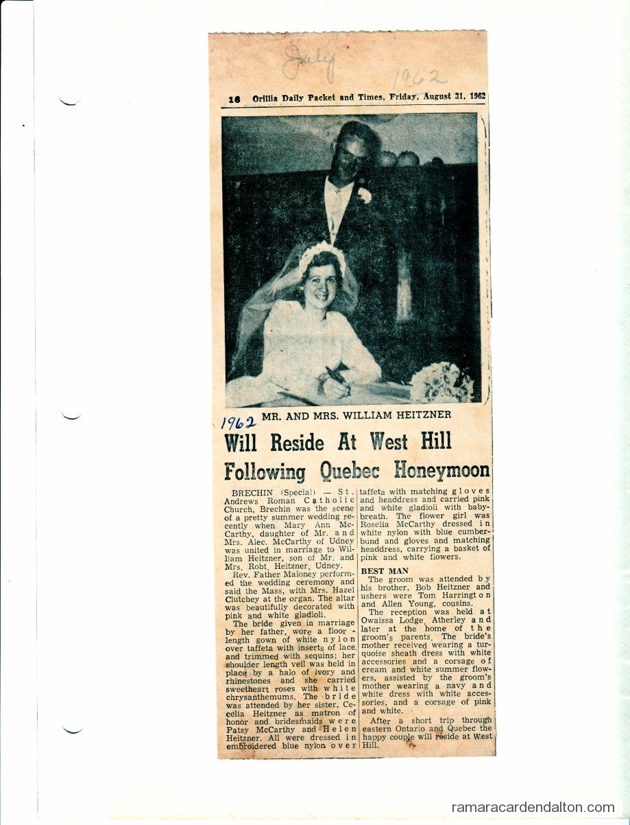 Photo of the day 3054 - Photo of the day