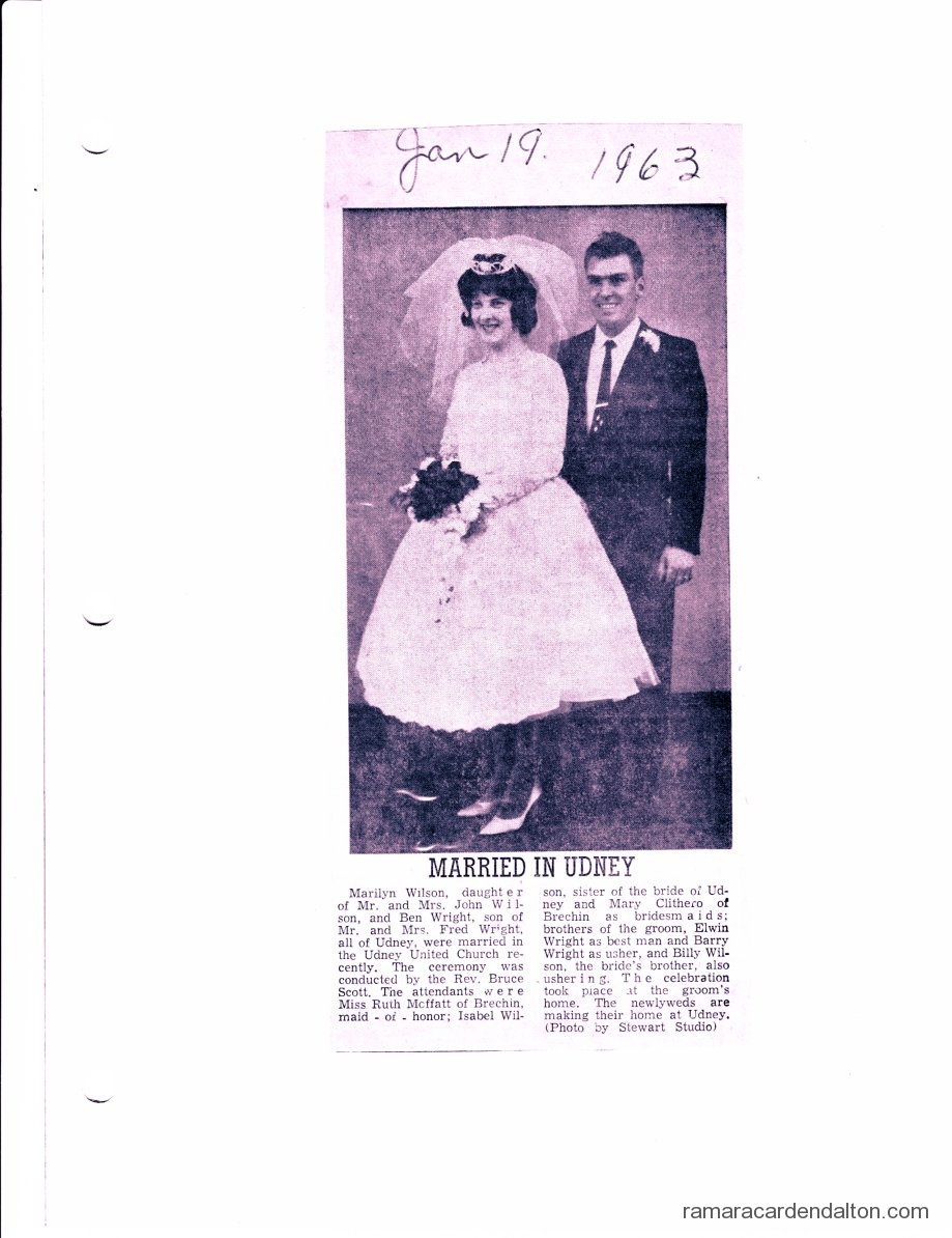 Photo of the day 3061 - Photo of the day