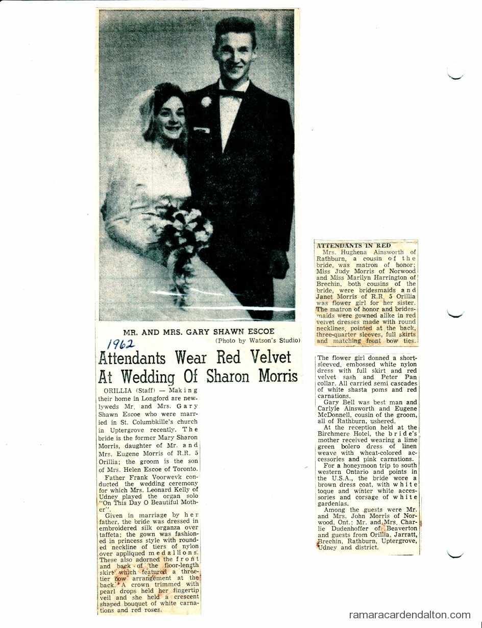 Photo of the day 3072 - Photo of the day