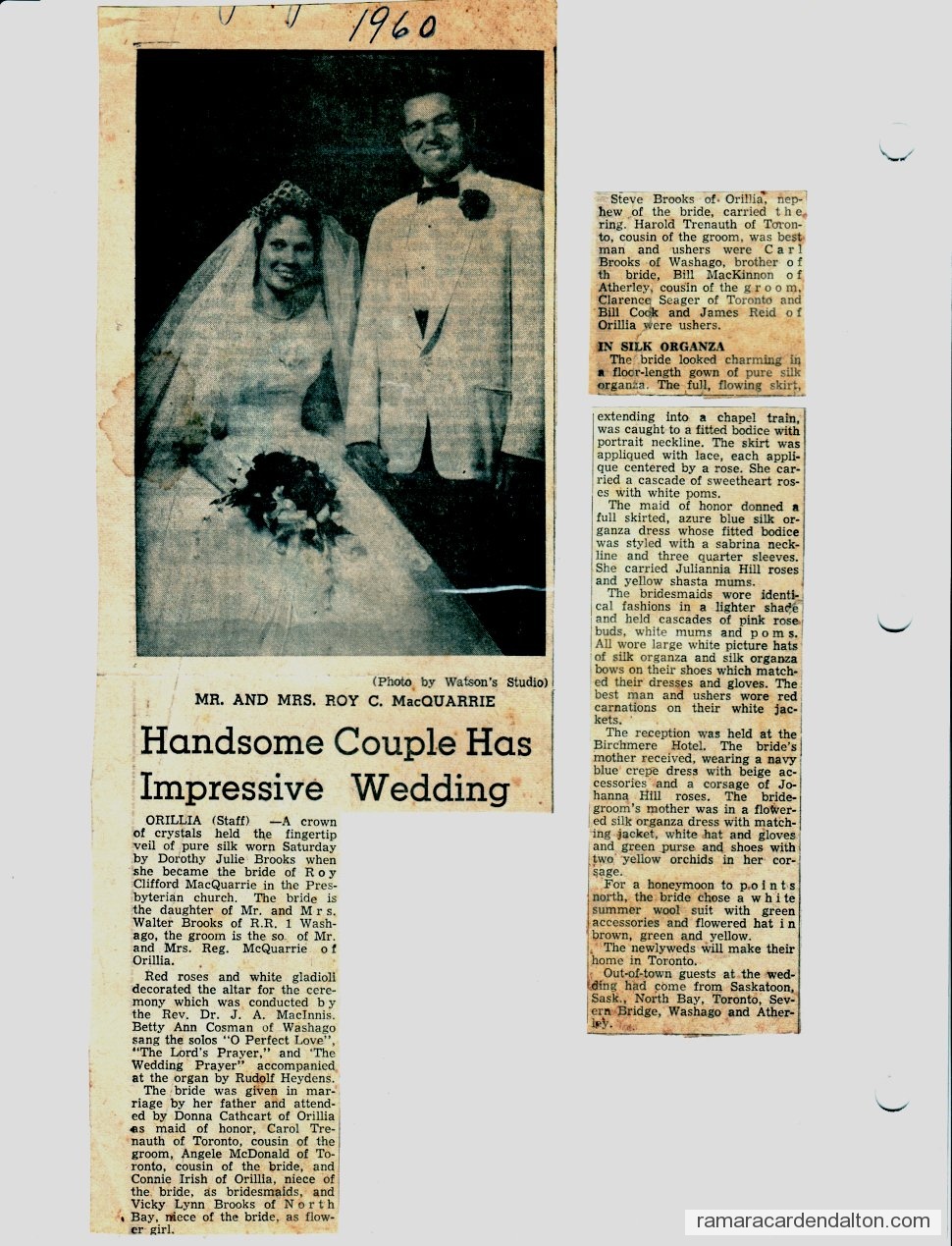 Photo of the day 3076 - Photo of the day