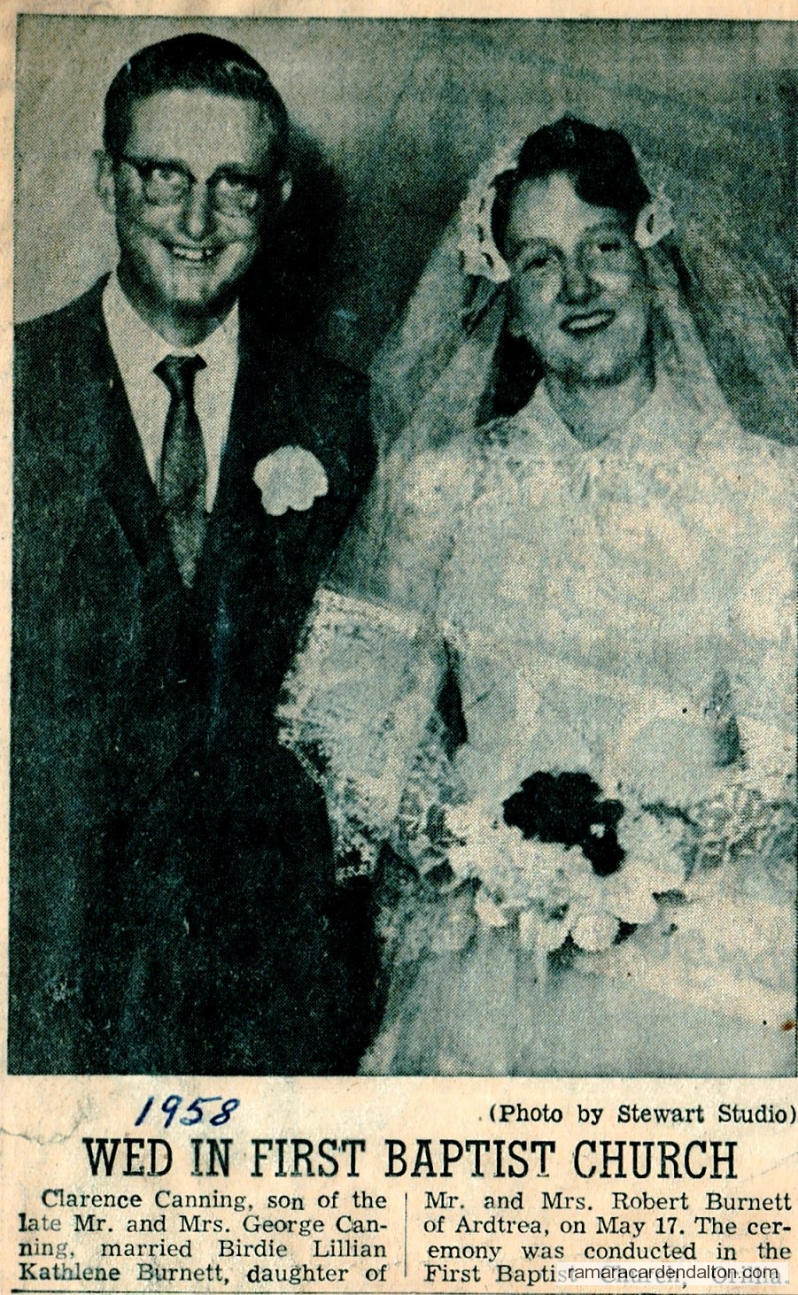 Photo of the day 3084 - Photo of the day