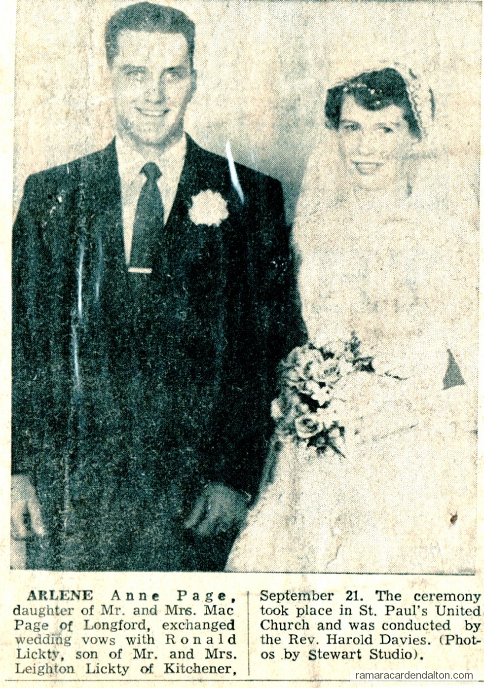 Photo of the day 3085 - Photo of the day