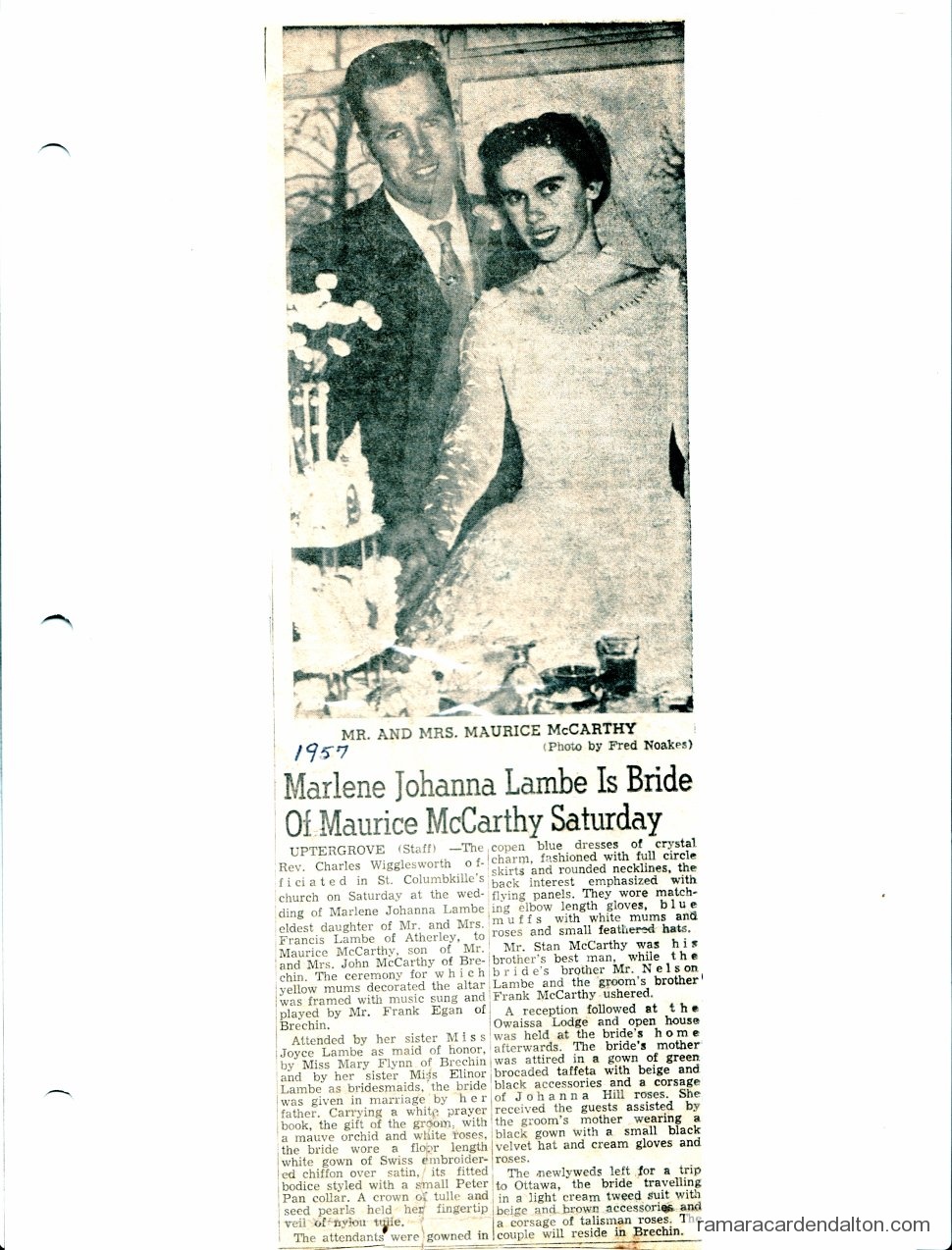 Photo of the day 3088 - Photo of the day