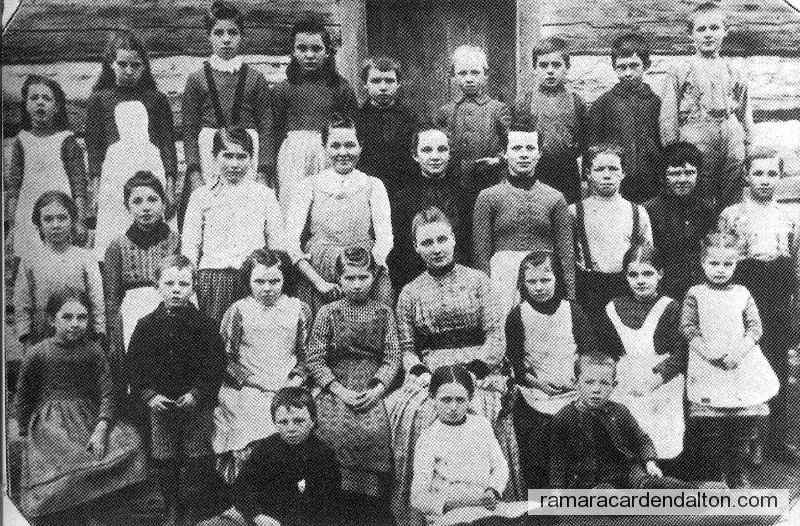 Photo of the day 309 - Photo of the day