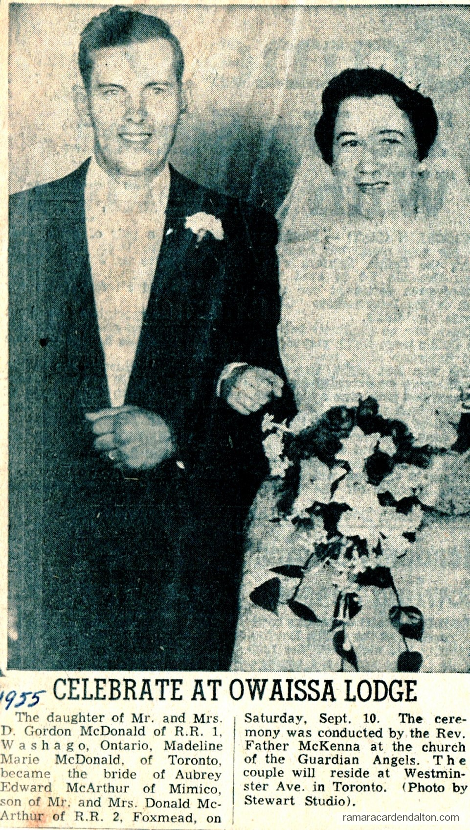 Photo of the day 3094 - Photo of the day