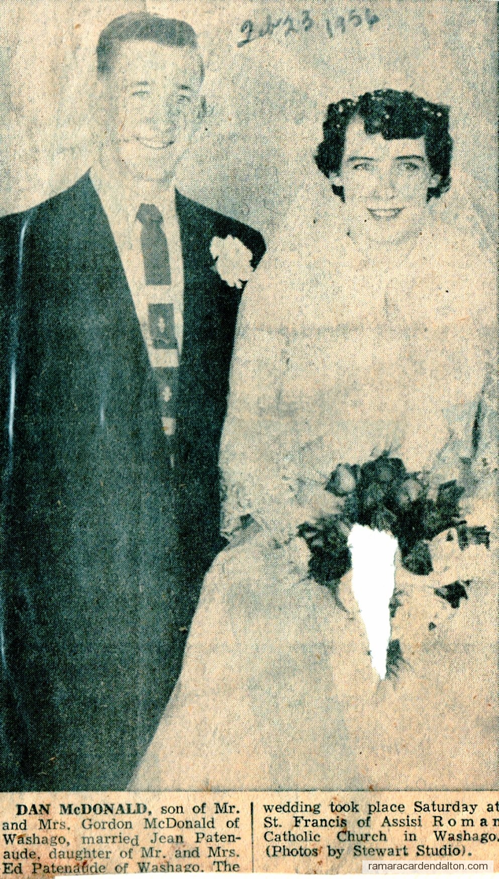 Photo of the day 3095 - Photo of the day