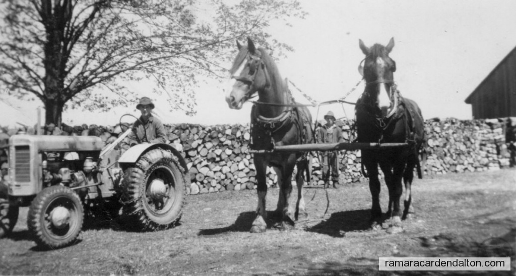 Photo of the day 3096 - Photo of the day