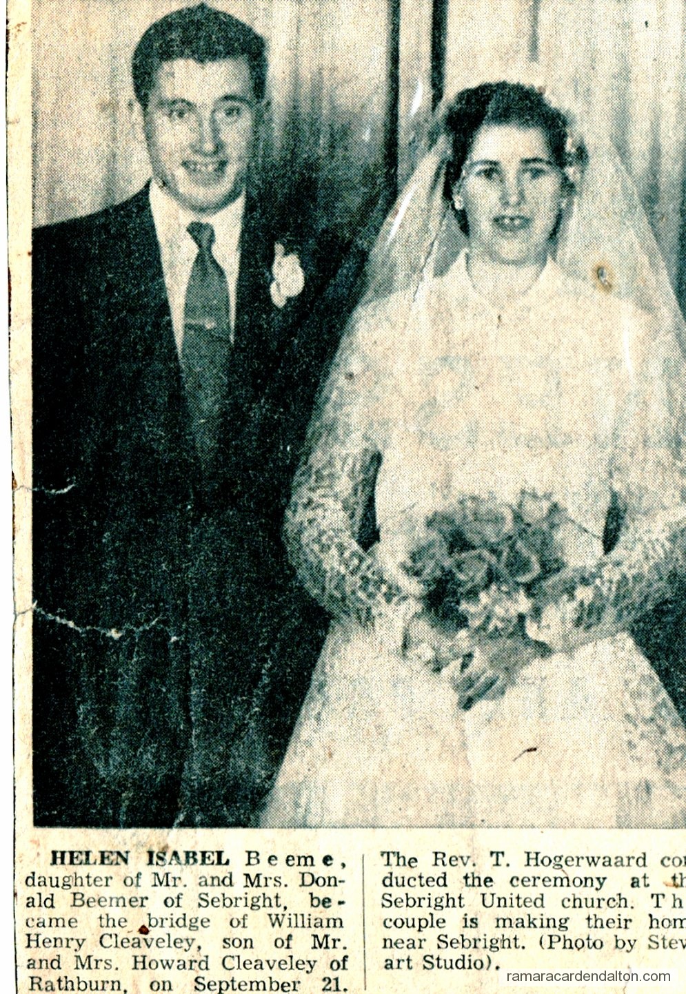 Photo of the day 3098 - Photo of the day