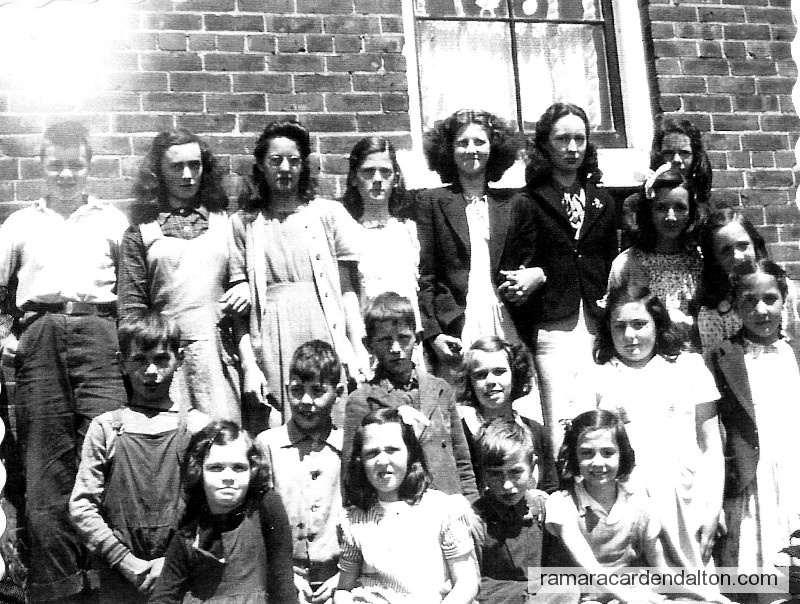 Photo of the day 310 - Photo of the day