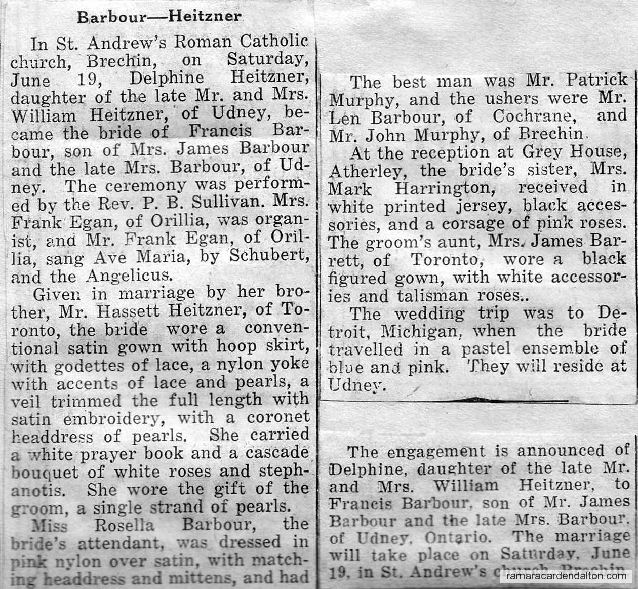 Photo of the day 3107 - Photo of the day