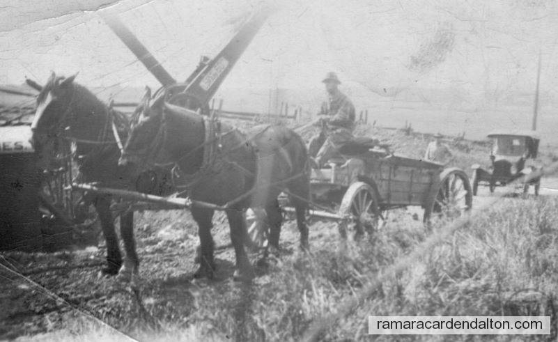 Photo of the day 3109 - Photo of the day