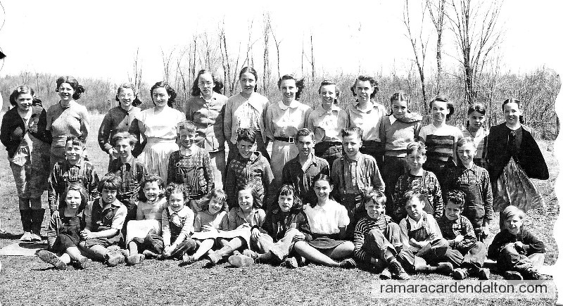 Photo of the day 311 - Photo of the day