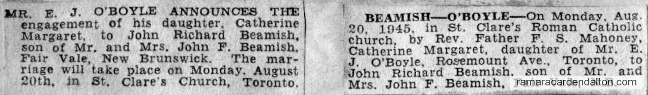 Photo of the day 3113 - Photo of the day