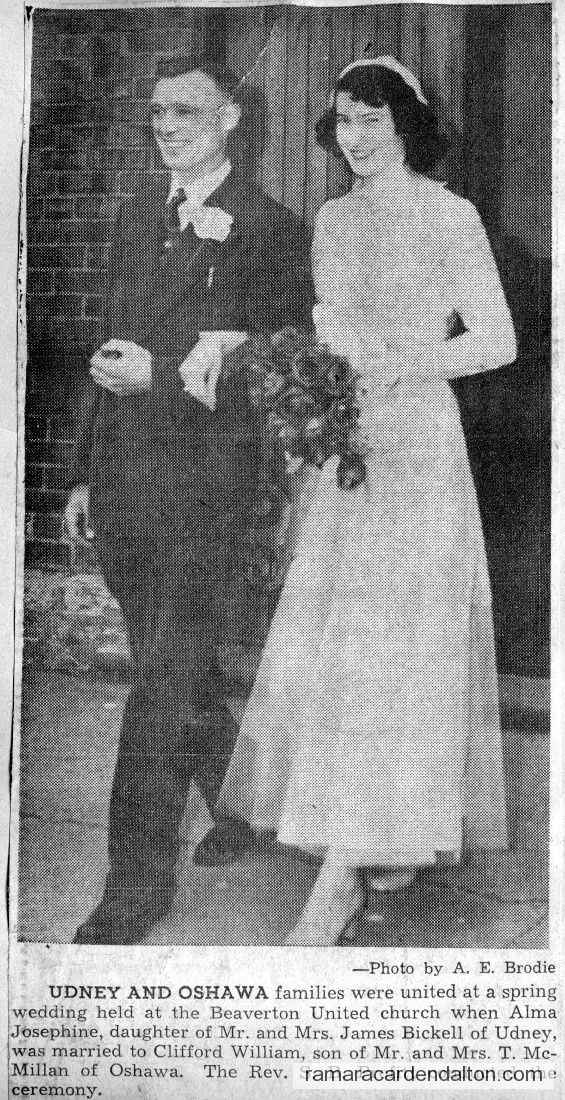 Photo of the day 3117 - Photo of the day