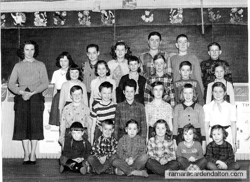 Photo of the day 312 - Photo of the day