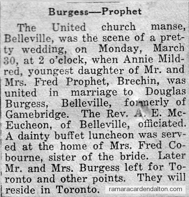 Photo of the day 3126 - Photo of the day