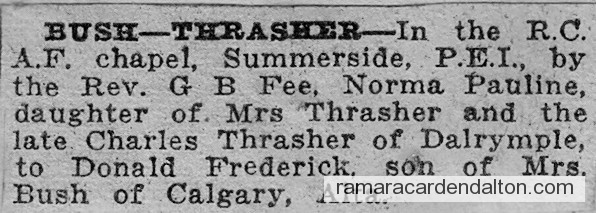 Photo of the day 3127 - Photo of the day