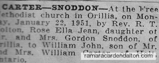 Photo of the day 3131 - Photo of the day