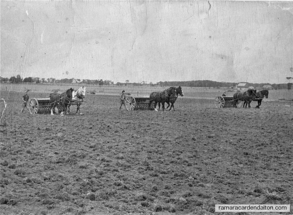 Photo of the day 3135 - Photo of the day