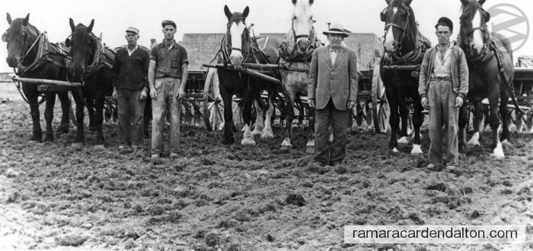 Photo of the day 3136 - Photo of the day