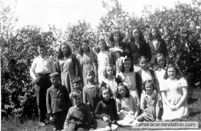 Photo of the day 315 - Photo of the day