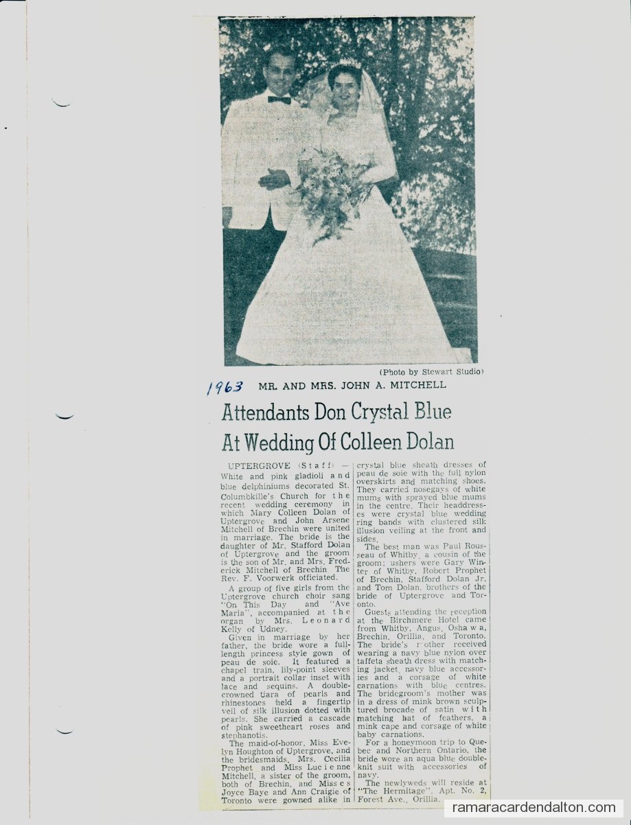 Photo of the day 3150 - Photo of the day