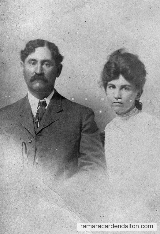 Photo of the day 3155 - Photo of the day