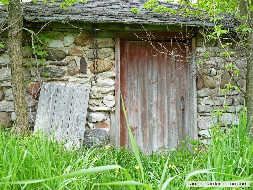 Photo of the day 3161 - Photo of the day