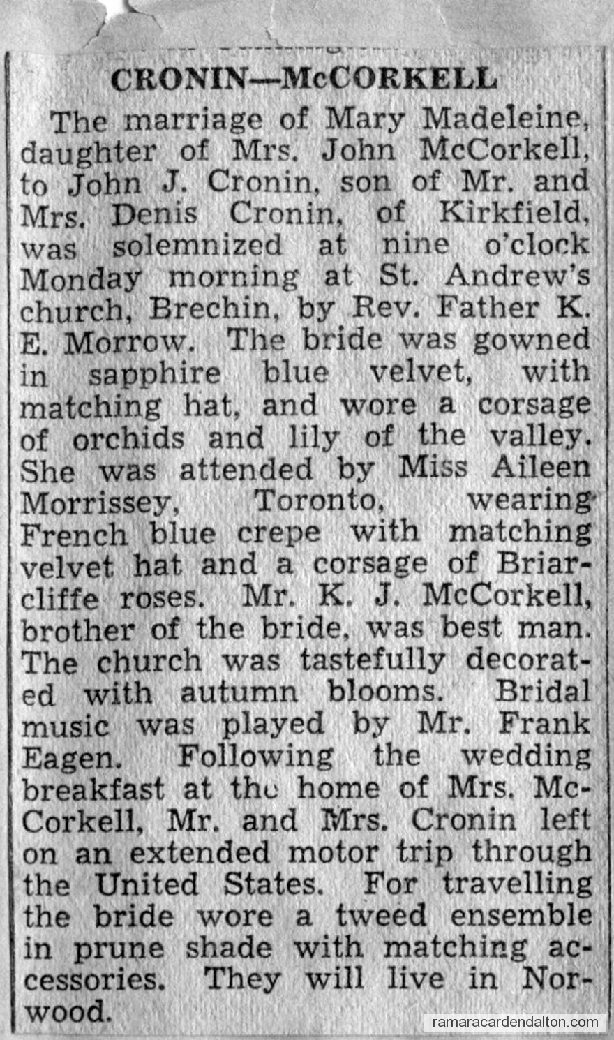 Photo of the day 3171 - Photo of the day