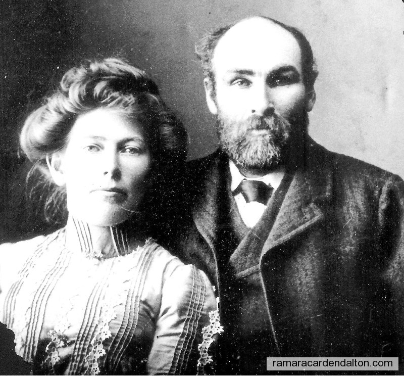 Photo of the day 3173 - Photo of the day