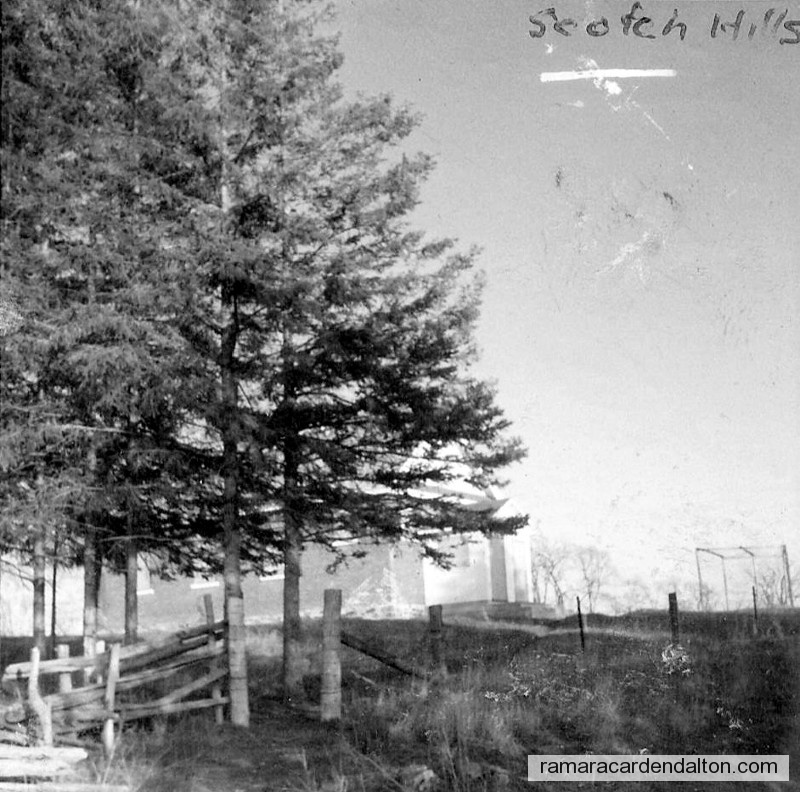 Photo of the day 318 - Photo of the day