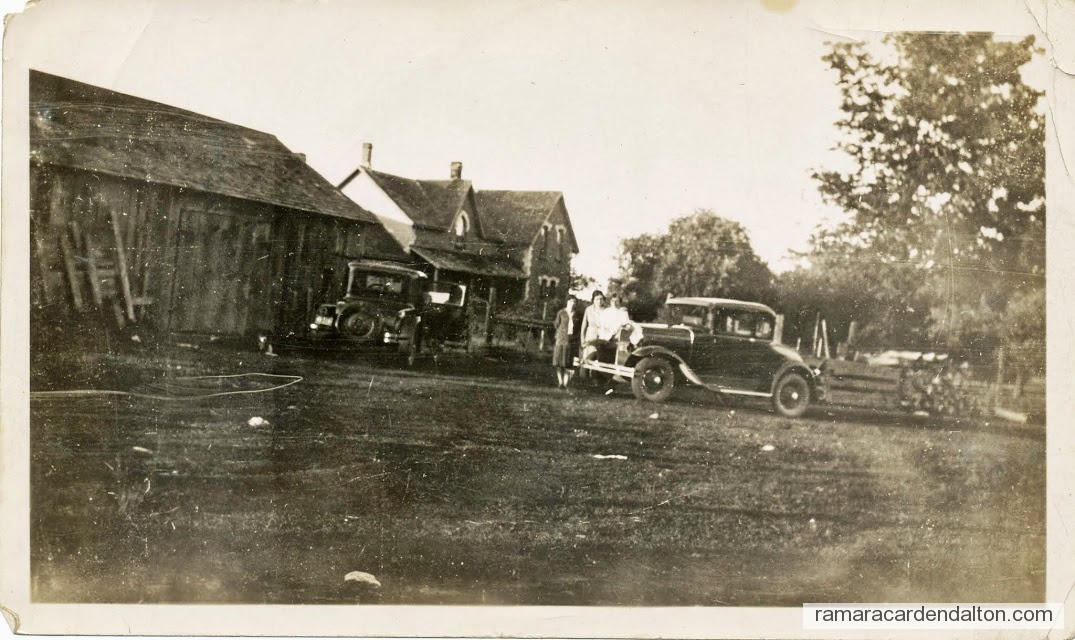 Photo of the day 3184 - Photo of the day