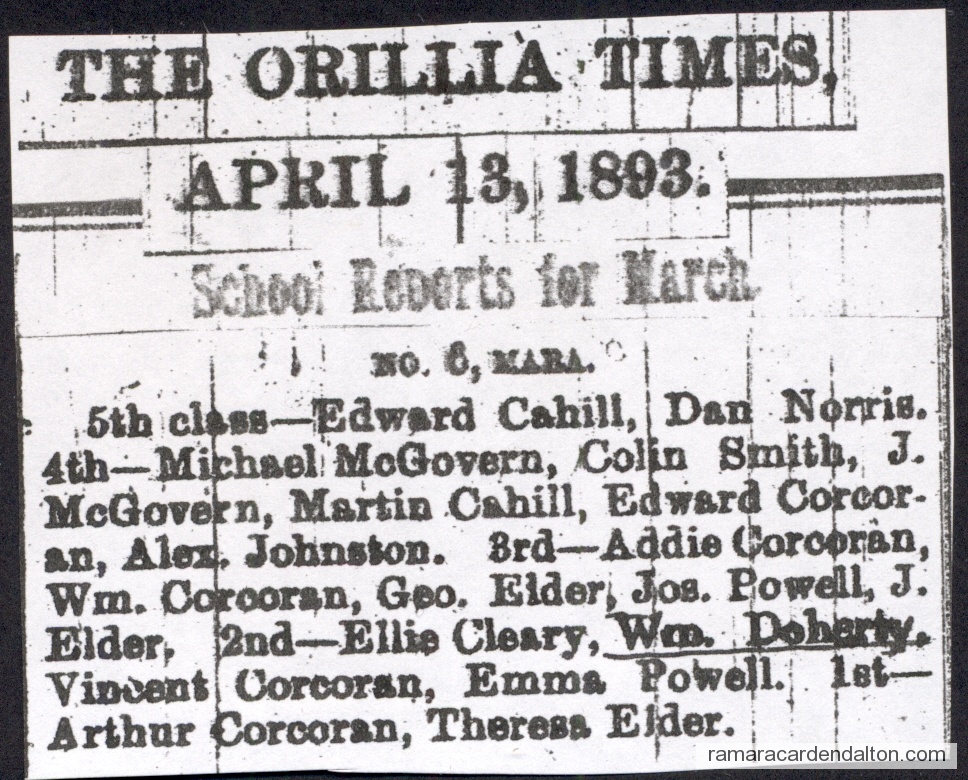 Photo of the day 3186 - Photo of the day