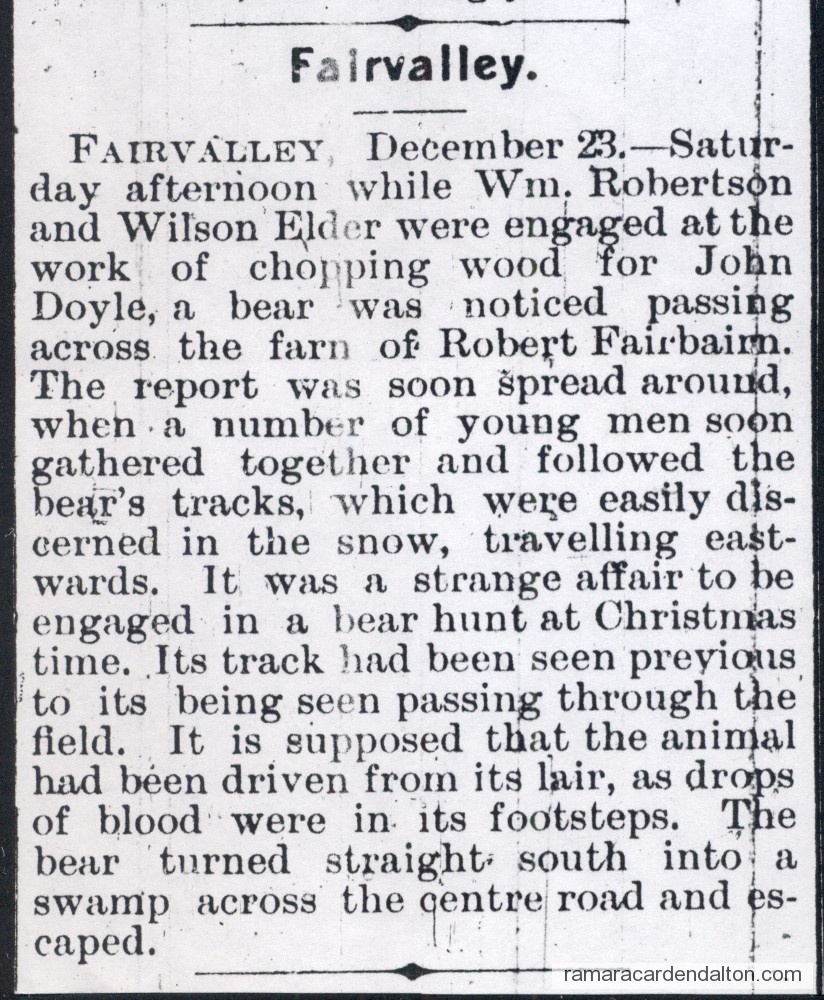 Photo of the day 3187 - Photo of the day