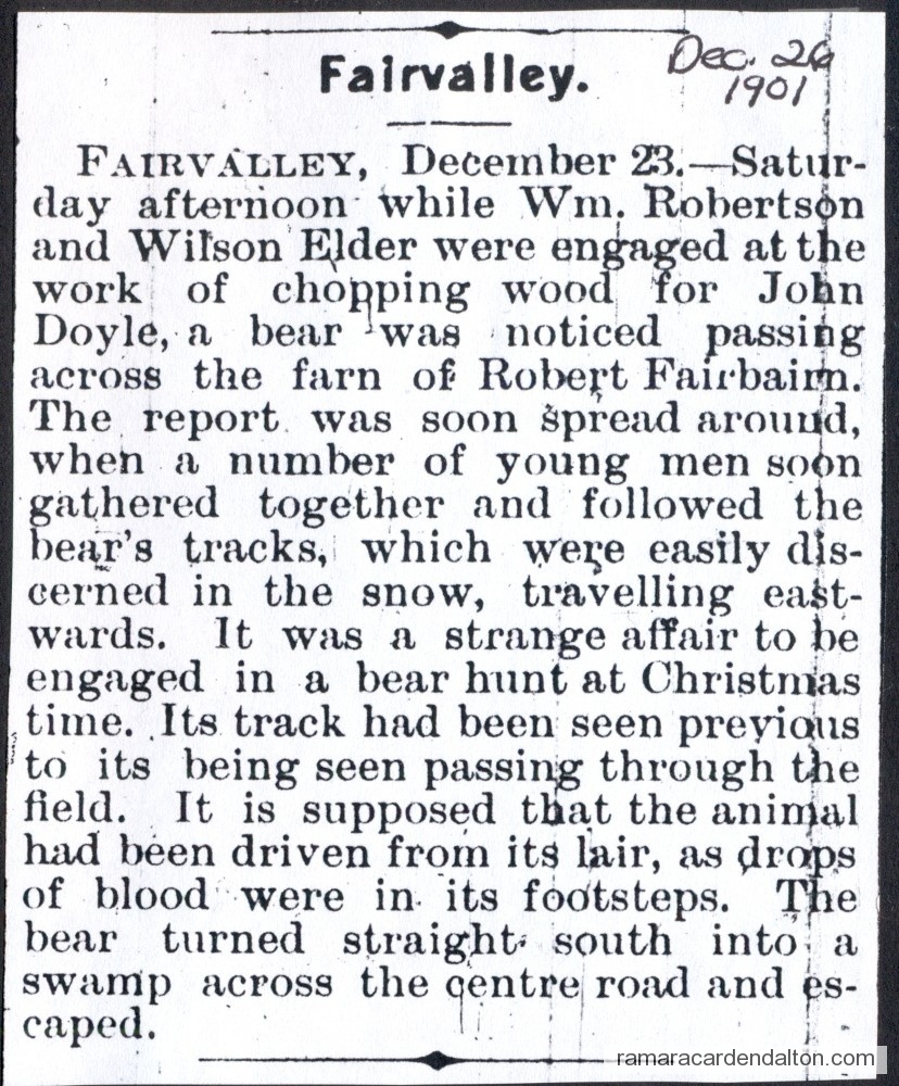 Photo of the day 3188 - Photo of the day