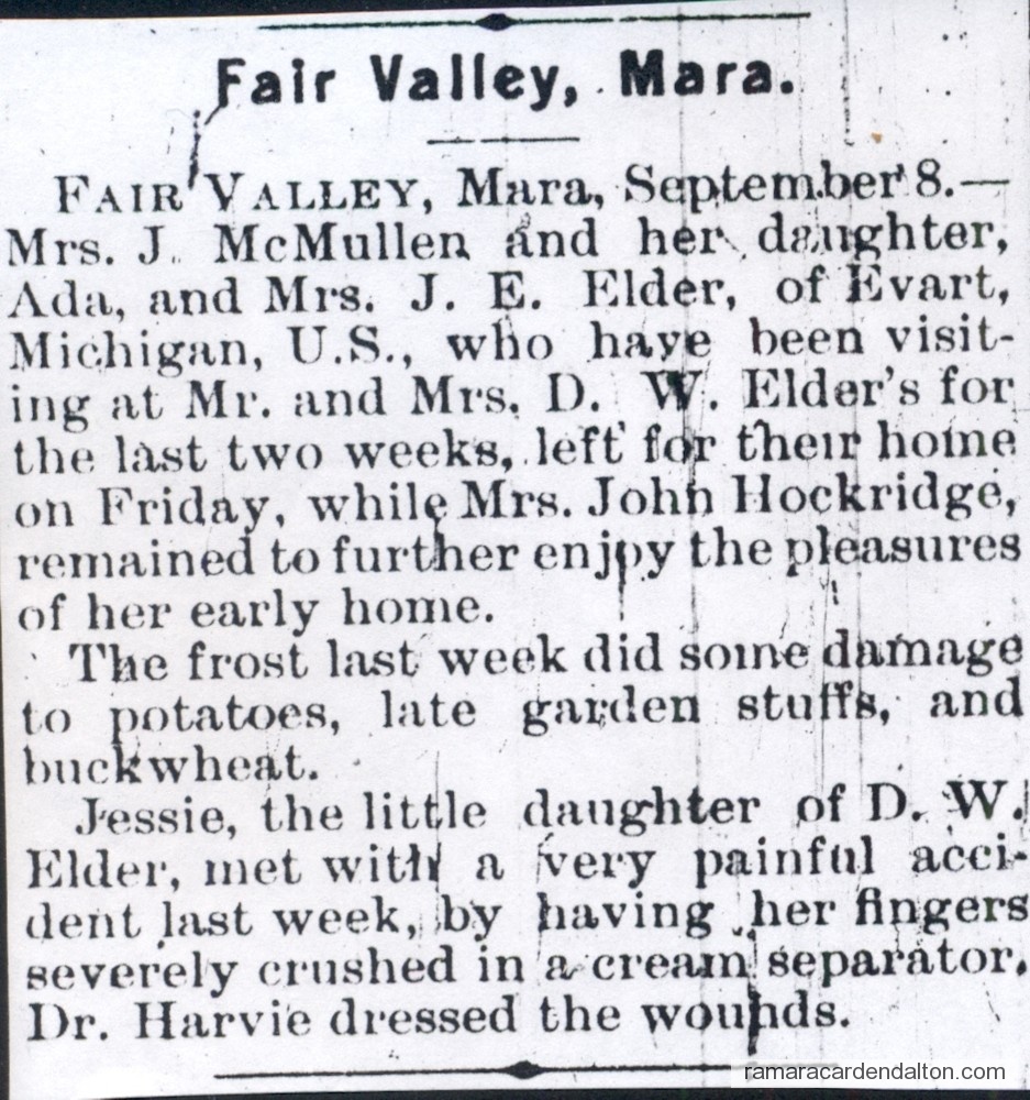 Photo of the day 3189 - Photo of the day