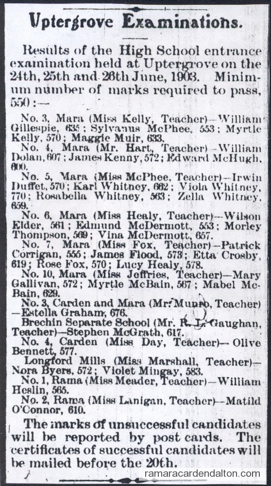 Photo of the day 3193 - Photo of the day