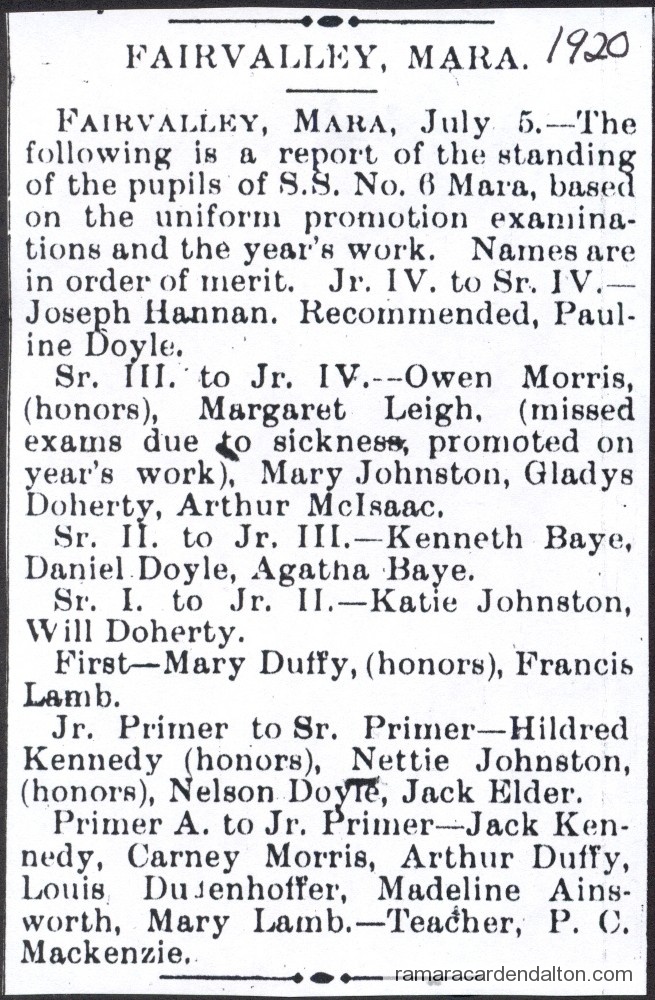 Photo of the day 3196 - Photo of the day