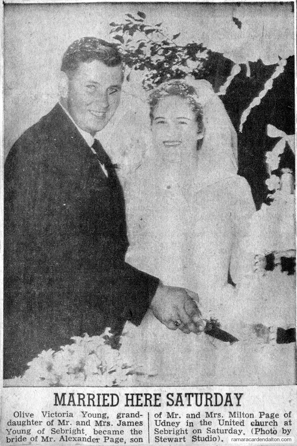 Photo of the day 3203 - Photo of the day