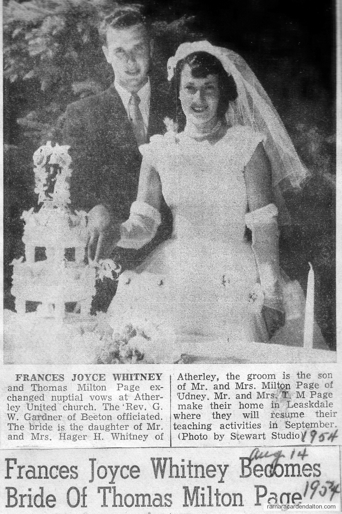 Photo of the day 3205 - Photo of the day