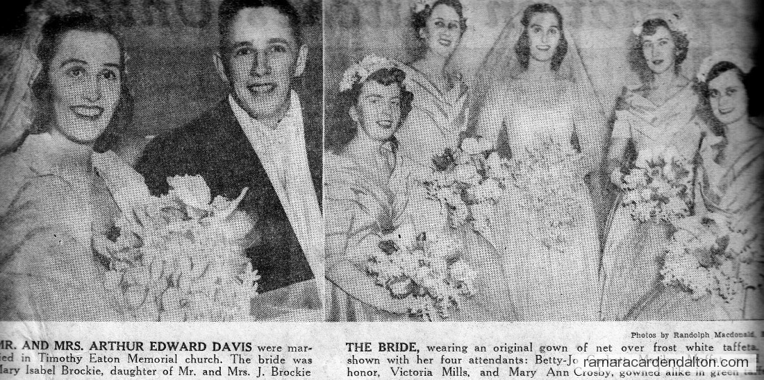 Photo of the day 3208 - Photo of the day