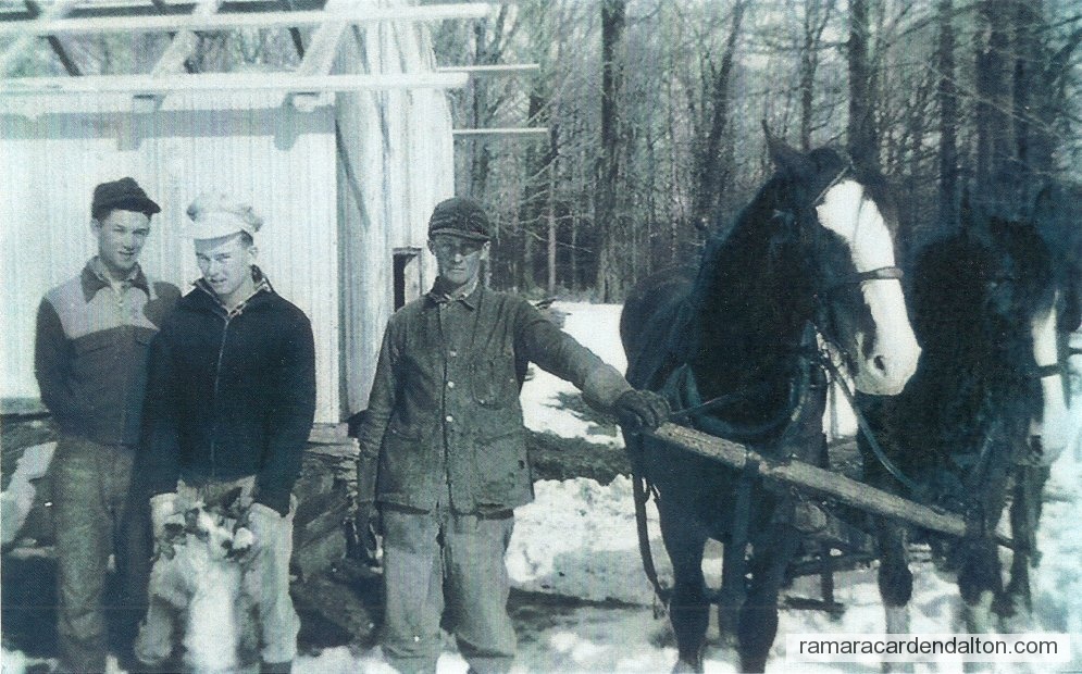 Photo of the day 3212 - Photo of the day